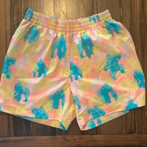Chubbies Men’s Swim Trunks